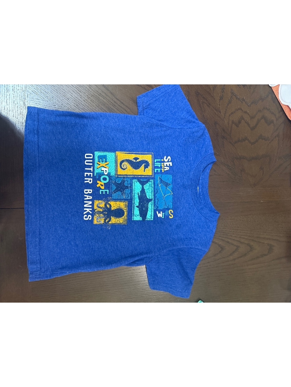 Set of 2 Toddler T-Shirts Size 2 and 3T - Blue Outer Banks Graphic Tee and Green